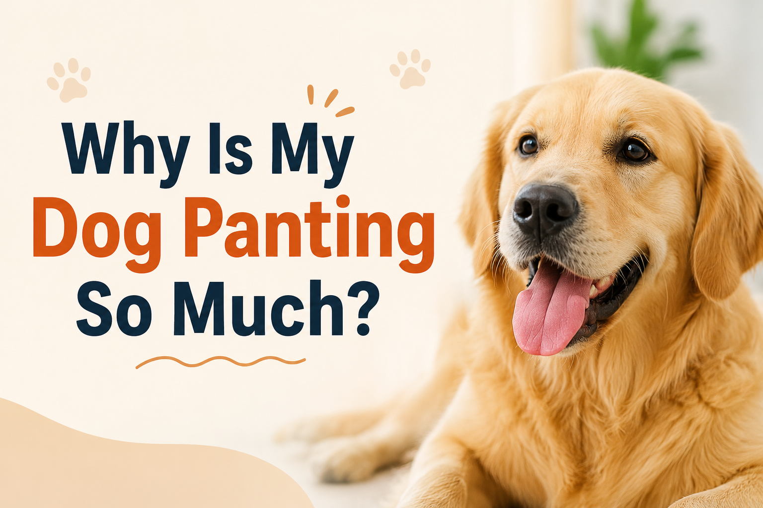 Why Is My Dog Panting So Much
