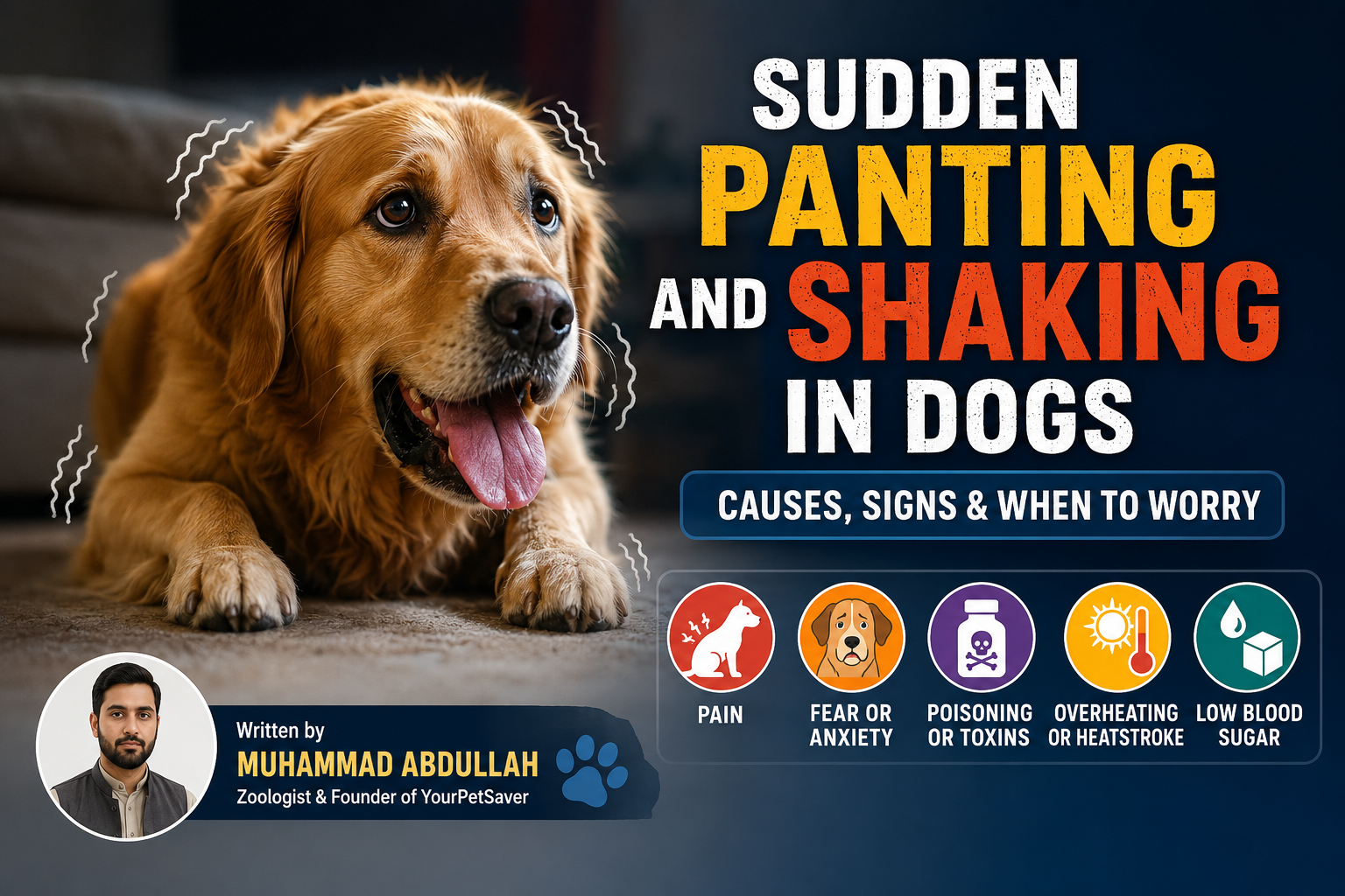 panting and shaking in dogs