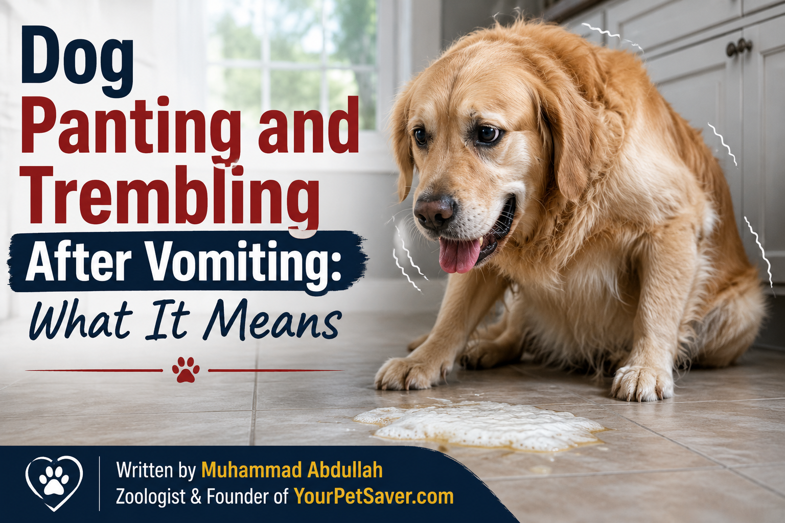 Dog panting and trembling after vomiting while sitting on kitchen floor