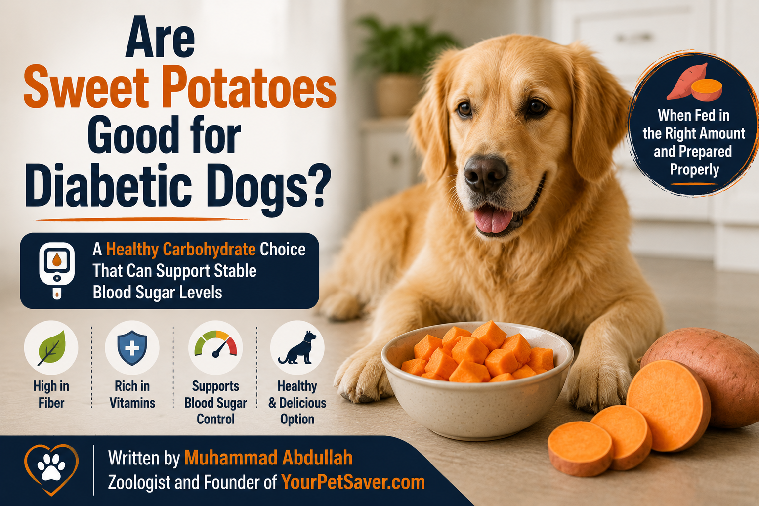 Sweet potatoes for diabetic dogs served in a bowl beside a healthy dog