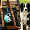 81dyuPf8RWL._AC_SL1500_ PetPulse™ 2-in-1 Dog Water Bottle & Bowl